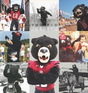 A collage of multiple photos showing the black bear mascot from the last 50 years