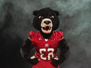 New Joe Bear mascot suit