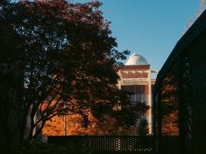 A tree stands in front of the Minges science building