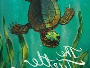 The Turtle of Michigan book cover