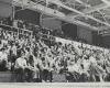 A group of students watch a basketball game indoors in a black 和 white 1973 archive photo